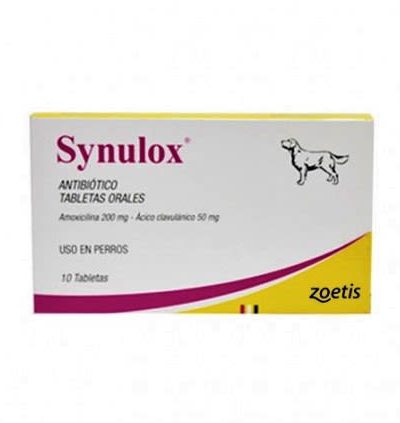 Synulox- antibiótico