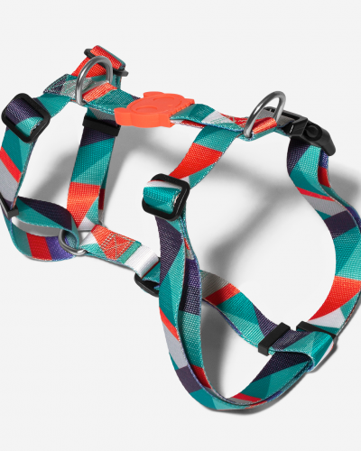 ELLA H-HARNESS