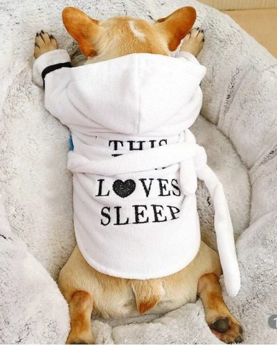 Pijama para perros