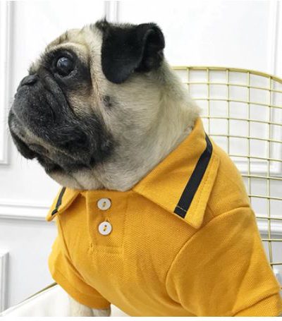 Camiseta Polo