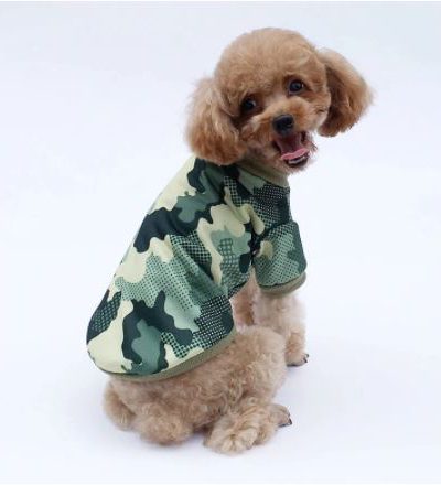 Camiseta de verano