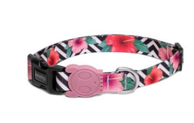 Mahalo ZeeDog Collar