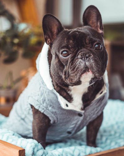 Poleron Hoodie Polar