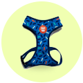 arnés